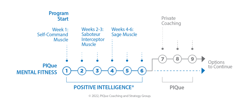 PIQ-TIMELINE-mentalfit25